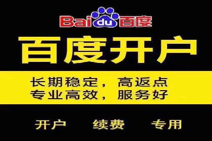 百度竞价代运营公司成功案例揭秘：策略与执行